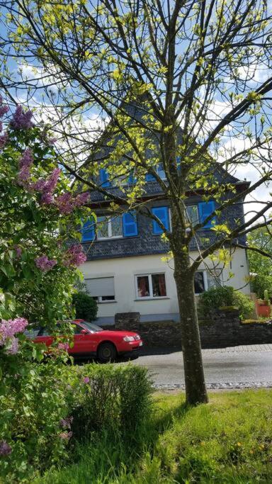 Ferienwohnung Alte-Schule-Kail Wohnung 2 Kültér fotó