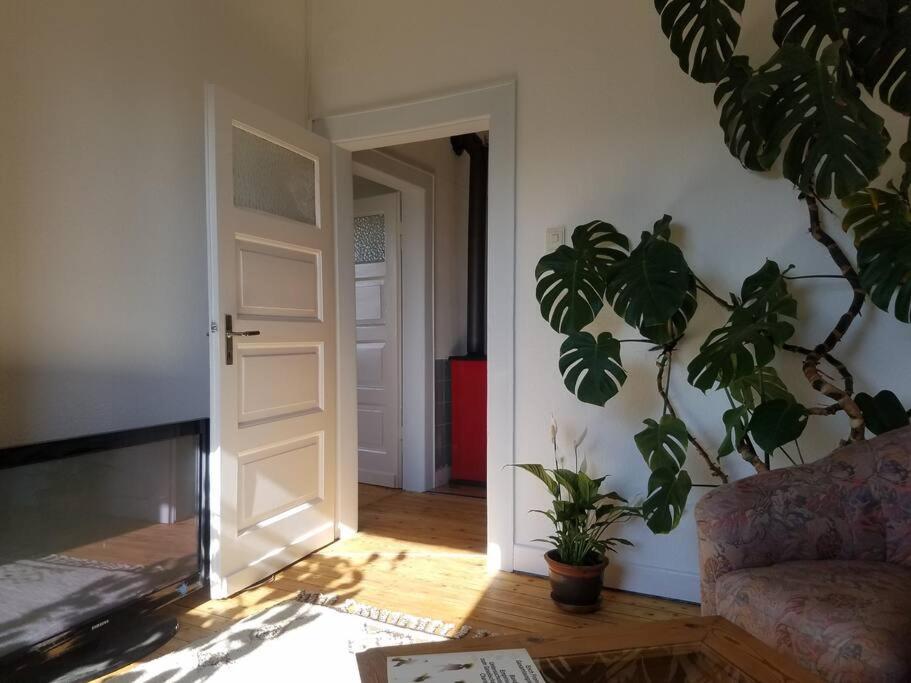 Ferienwohnung Alte-Schule-Kail Wohnung 2 Kültér fotó