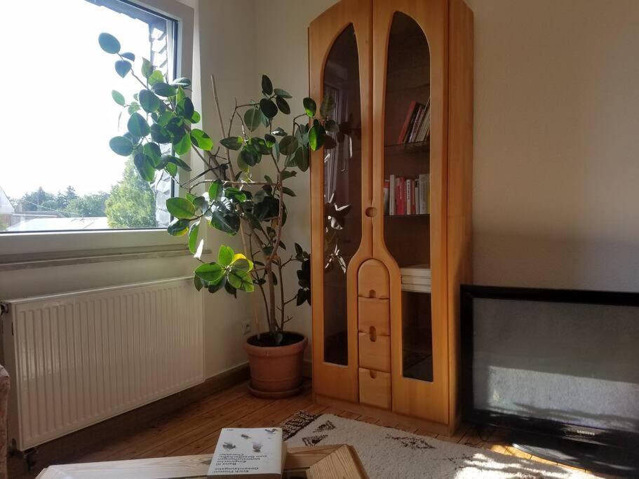 Ferienwohnung Alte-Schule-Kail Wohnung 2 Kültér fotó