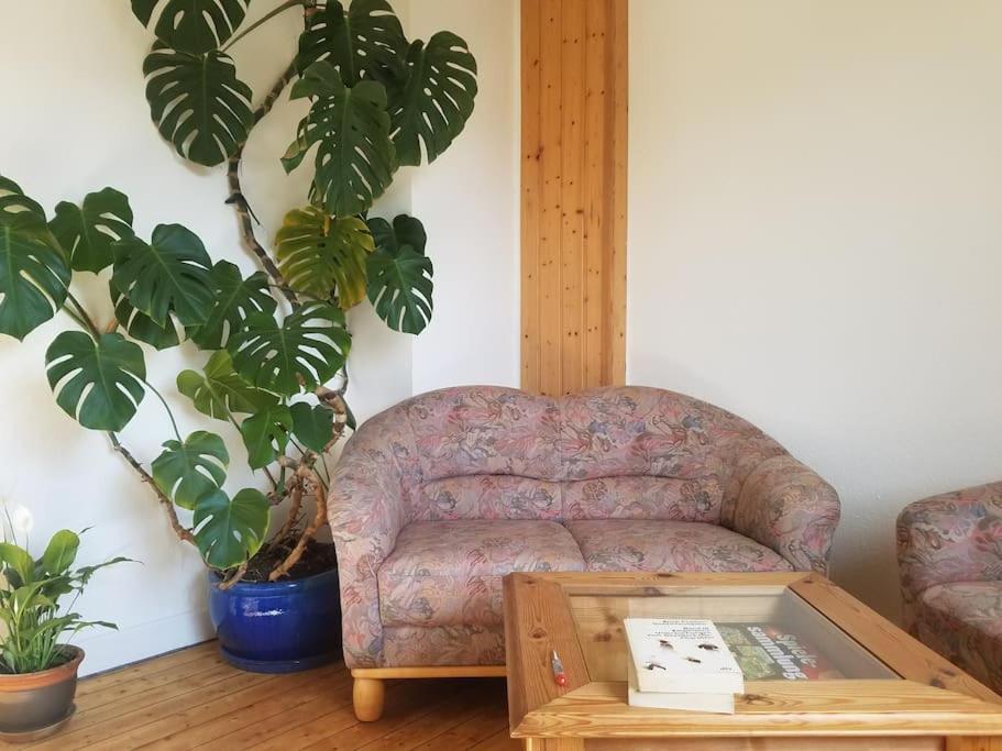 Ferienwohnung Alte-Schule-Kail Wohnung 2 Kültér fotó